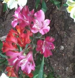 20150519_105903